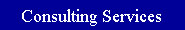 Consulting Services
